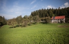 feichtinger-fotostrecke-05