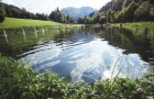 bio-award-kaernten-2020-jenschatz-gallery-09