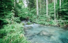 bio-award-kaernten-2020-jenschatz-gallery-10