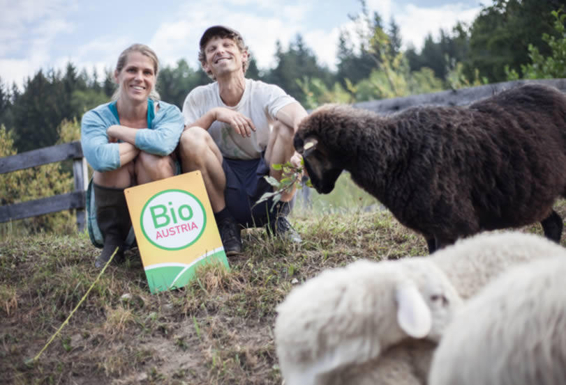 Biohof Fam. Feichtinger - Petschacher vlg. Echt Kraß